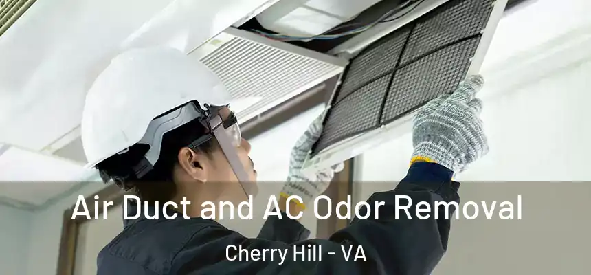  Air Duct and AC Odor Removal Cherry Hill - VA