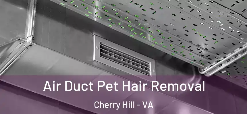  Air Duct Pet Hair Removal Cherry Hill - VA