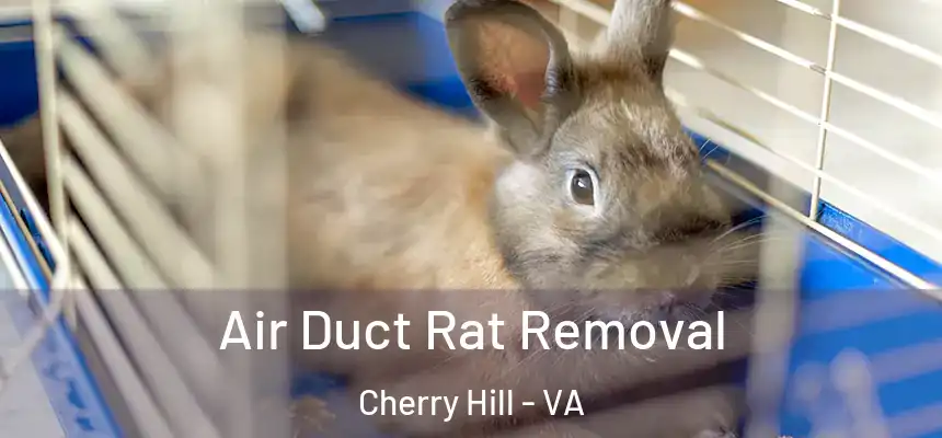  Air Duct Rat Removal Cherry Hill - VA