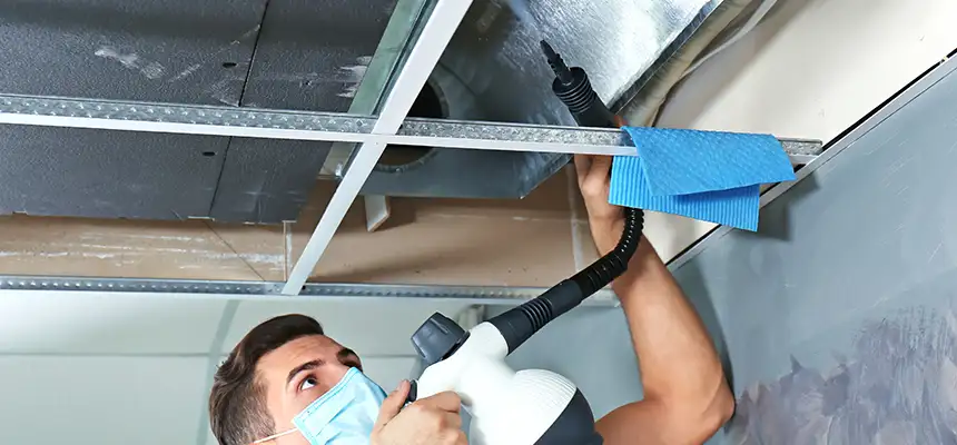 Our Air Duct Rodent Removal Services in Cherry Hill, VA