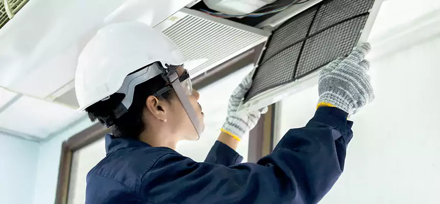 Our Mold & Mildew Removal from Air Ducts Services in Cherry Hill, VA