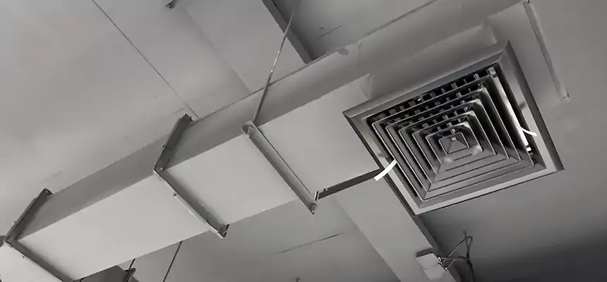 Our Rodent Droppings In Vents Services in Cherry Hill, VA