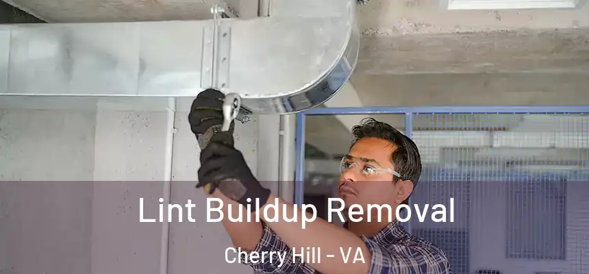  Lint Buildup Removal Cherry Hill - VA