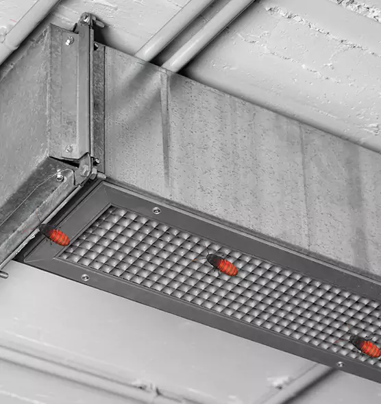 About Air Duct Cockroach Removal in Cherry Hill, VA