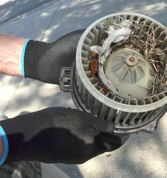 About Air Duct Rat Removal in Cherry Hill, VA