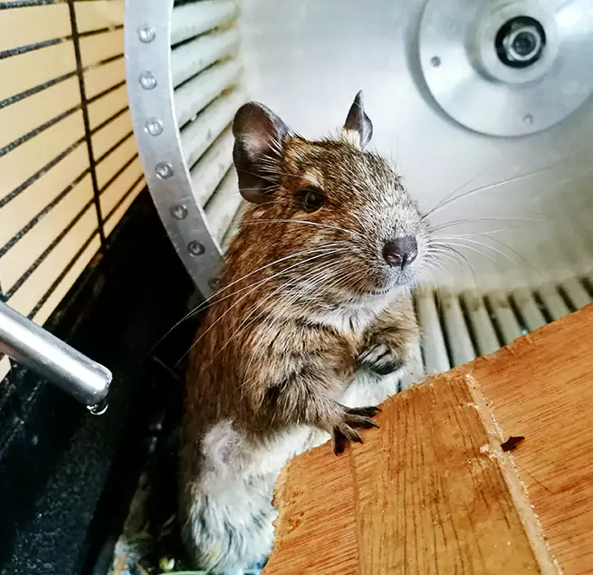 Why Homeowners & Businesses Trust Us Cherry Hill, VA?