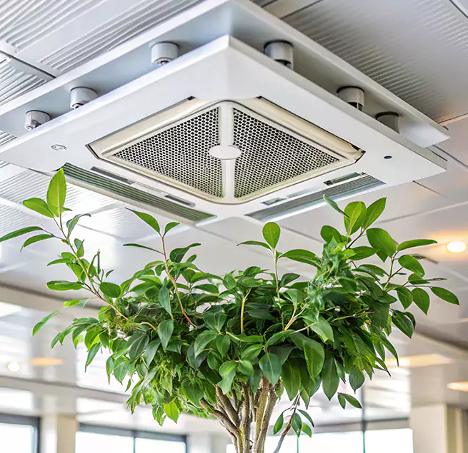 Why Homeowners & Businesses Trust Us in Cherry Hill, VA?